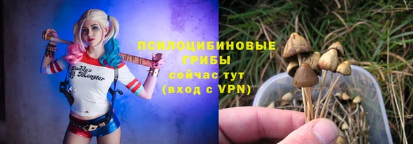винт Алексеевка